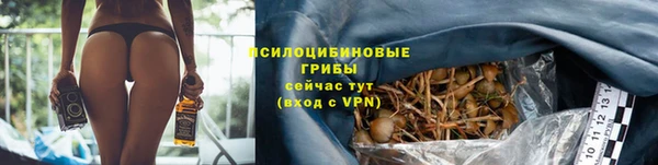прущие крисы Балабаново