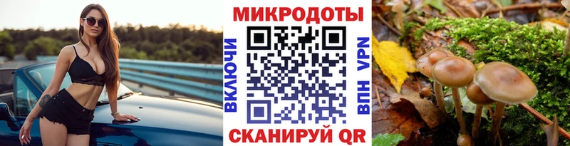 Купить где Людиново Псилоцибиновые грибы GOLDEN TEACHER